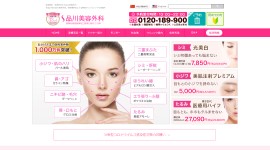品川美容外科公式HP画像